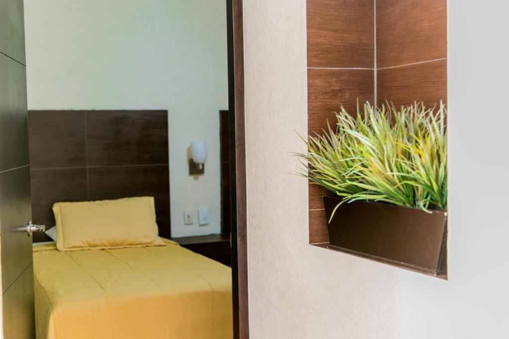 Coral Pacifico Hotel Y Villas Манзанило Стая снимка